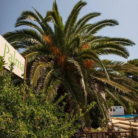 Palma Villa